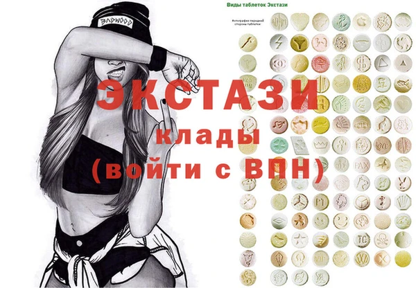 индика Осинники