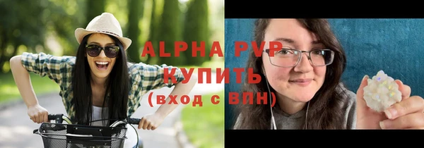 индика Осинники