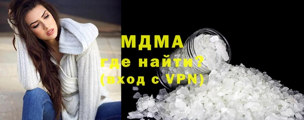 индика Осинники