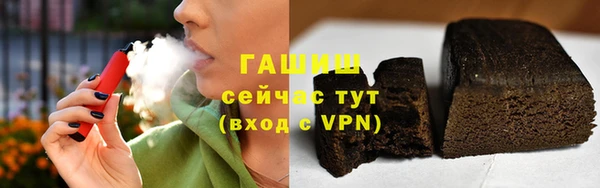 индика Осинники