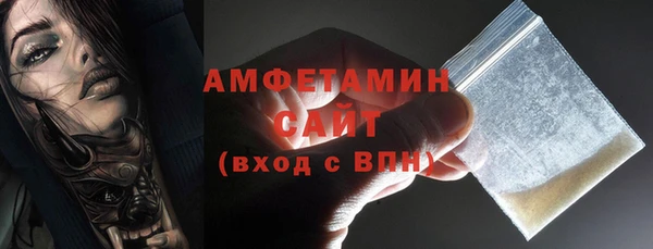 индика Осинники