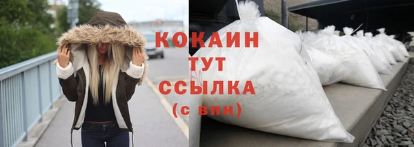 индика Осинники