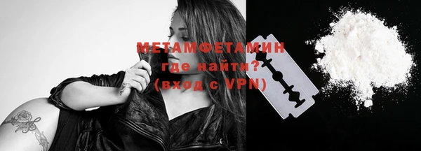 индика Осинники