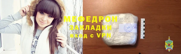 индика Осинники