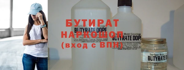 индика Осинники