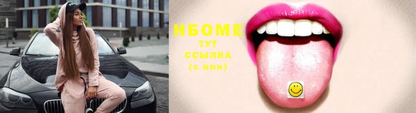 гидра Няндома