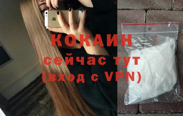 индика Осинники