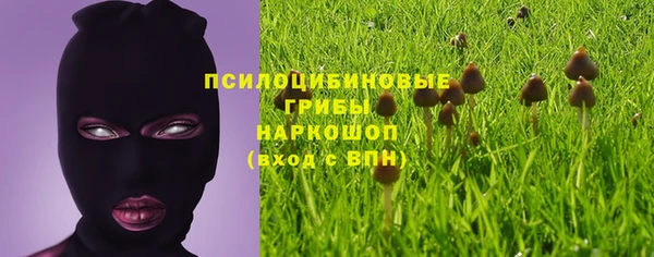 стафф Остров