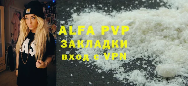 индика Осинники