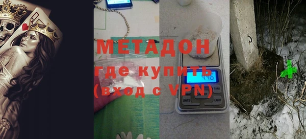 индика Осинники