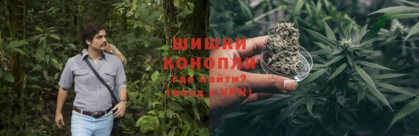 спиды Вяземский