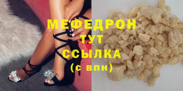 гидра Няндома