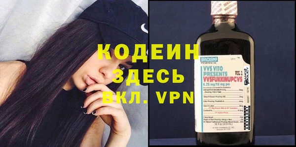 индика Осинники