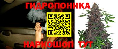сатива Гусь-Хрустальный