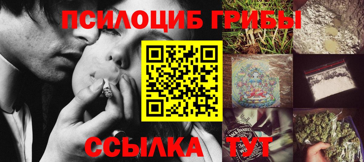 Галлюциногенные грибы Psilocybine cubensis  Лысьва 