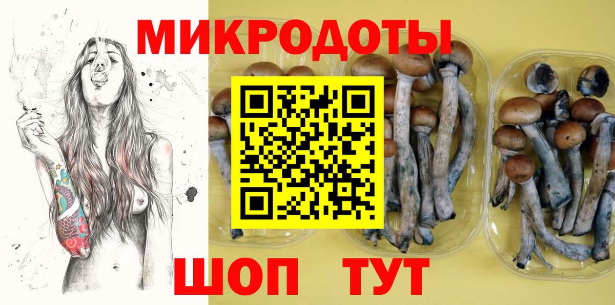 Псилоцибиновые грибы GOLDEN TEACHER Лысьва