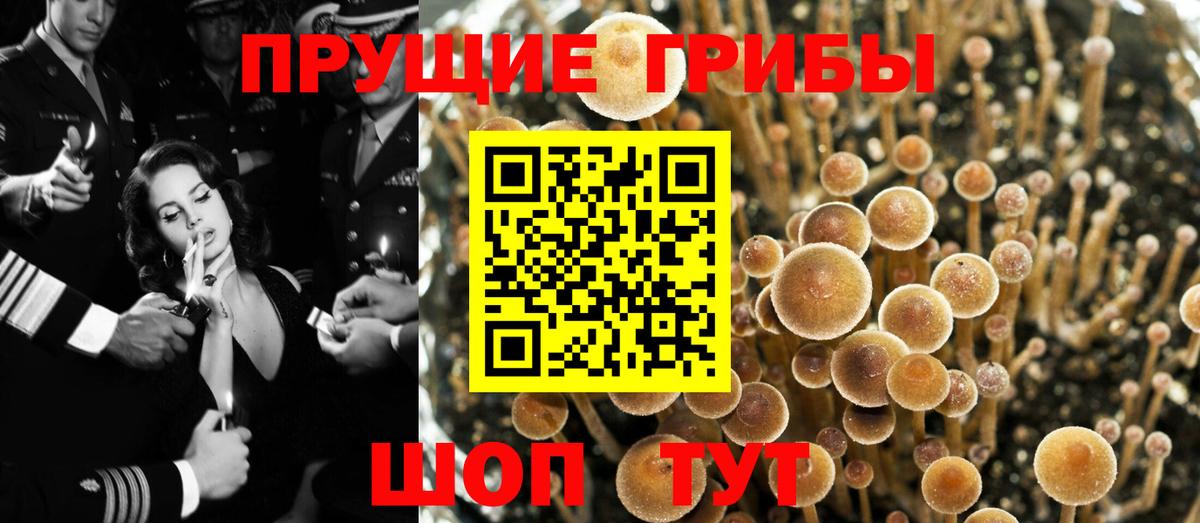 Лысьва  Псилоцибиновые грибы мицелий  Вход с VPN 