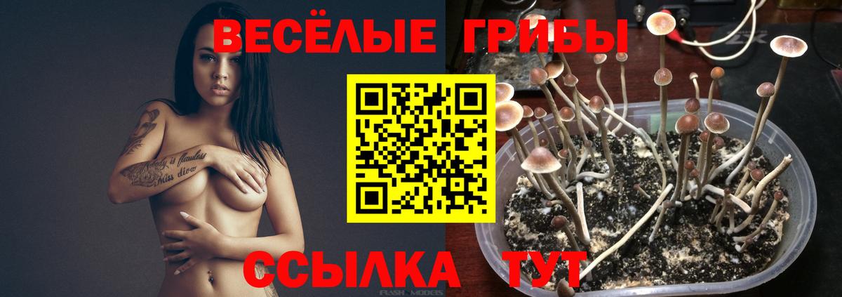 Галлюциногенные грибы ЛСД Лысьва